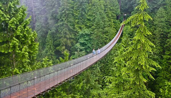 canada capilano suspension bridge