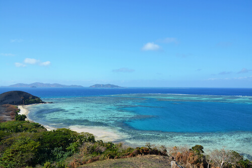 Fiji coral reef