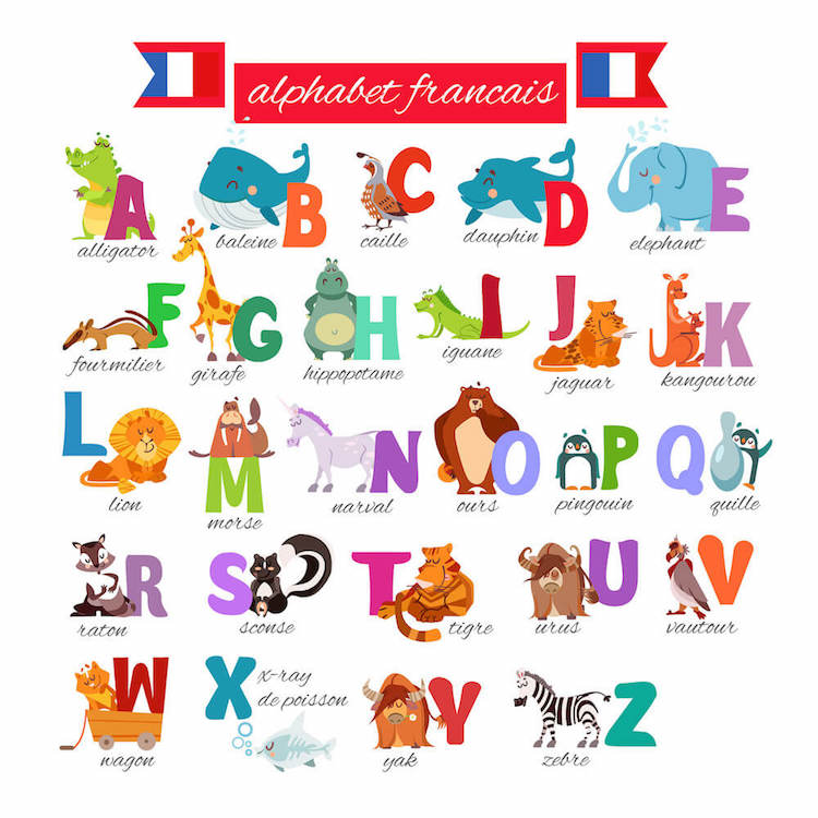 French alphabet French alphabet with animals