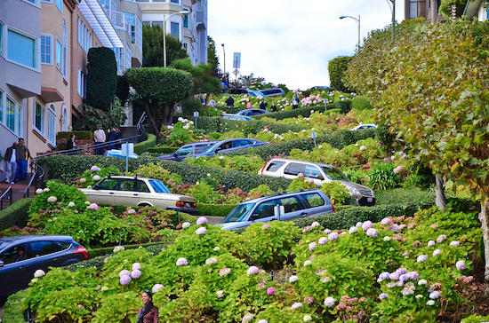 San Francisco' s Lombard Street is the crookedest street in the world San Francisco' s Lombard Street is the crookedest street in the world