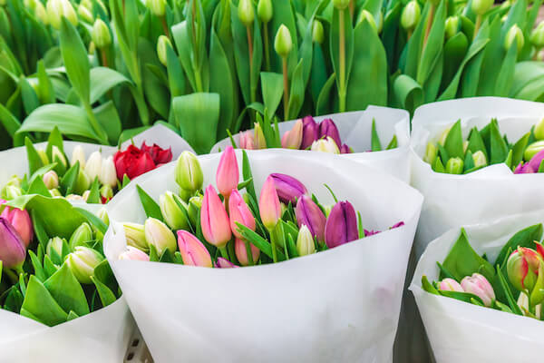 Tulip flower bouquets