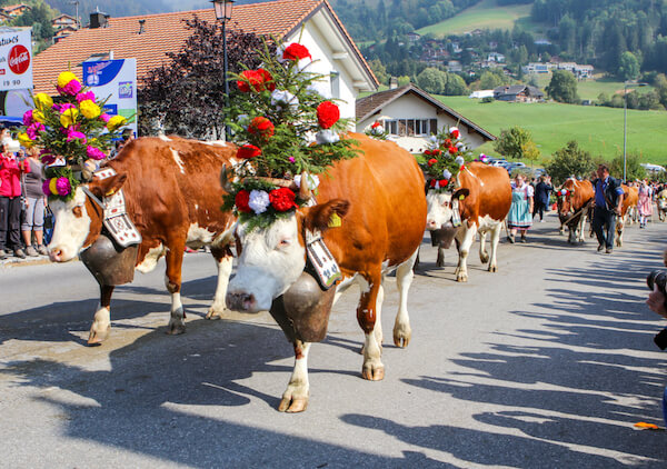 Alpenaufzug