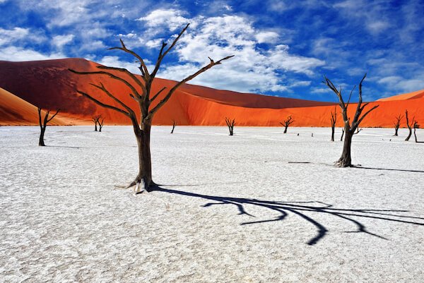 Namibia desert