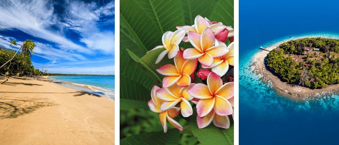 tonga header tonga_header