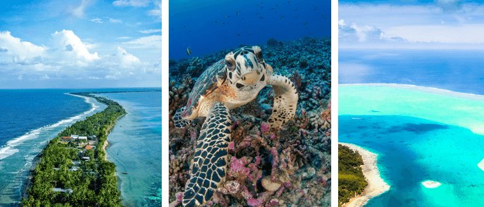 Facts about Tuvalu: Funafuti atoll, sea turtle, Polynesian islands