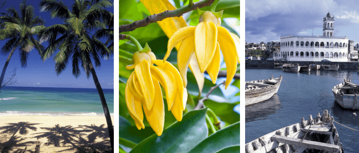 comoros facts header