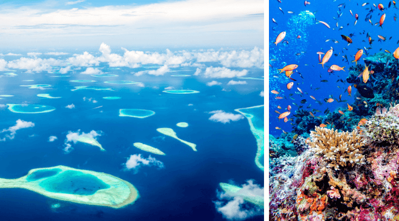 Maldives Facts for Kids